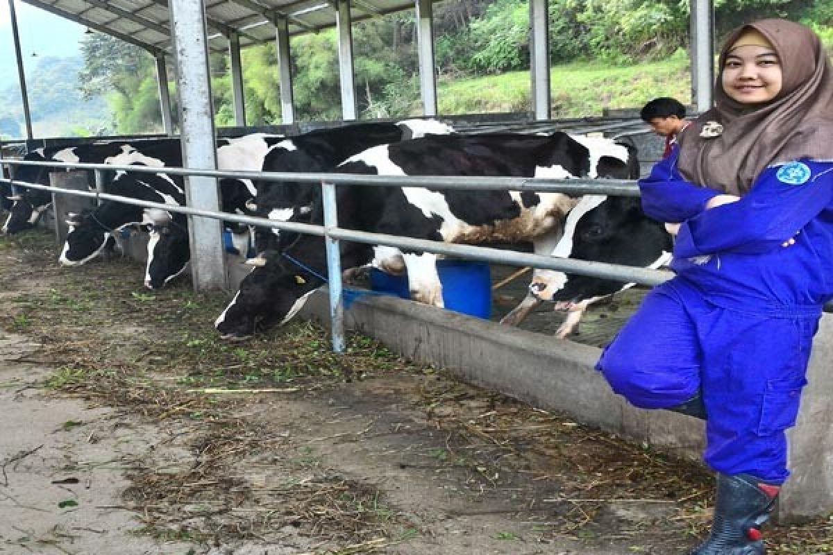 Sarah, Usai Wisuda Langsung Kerja