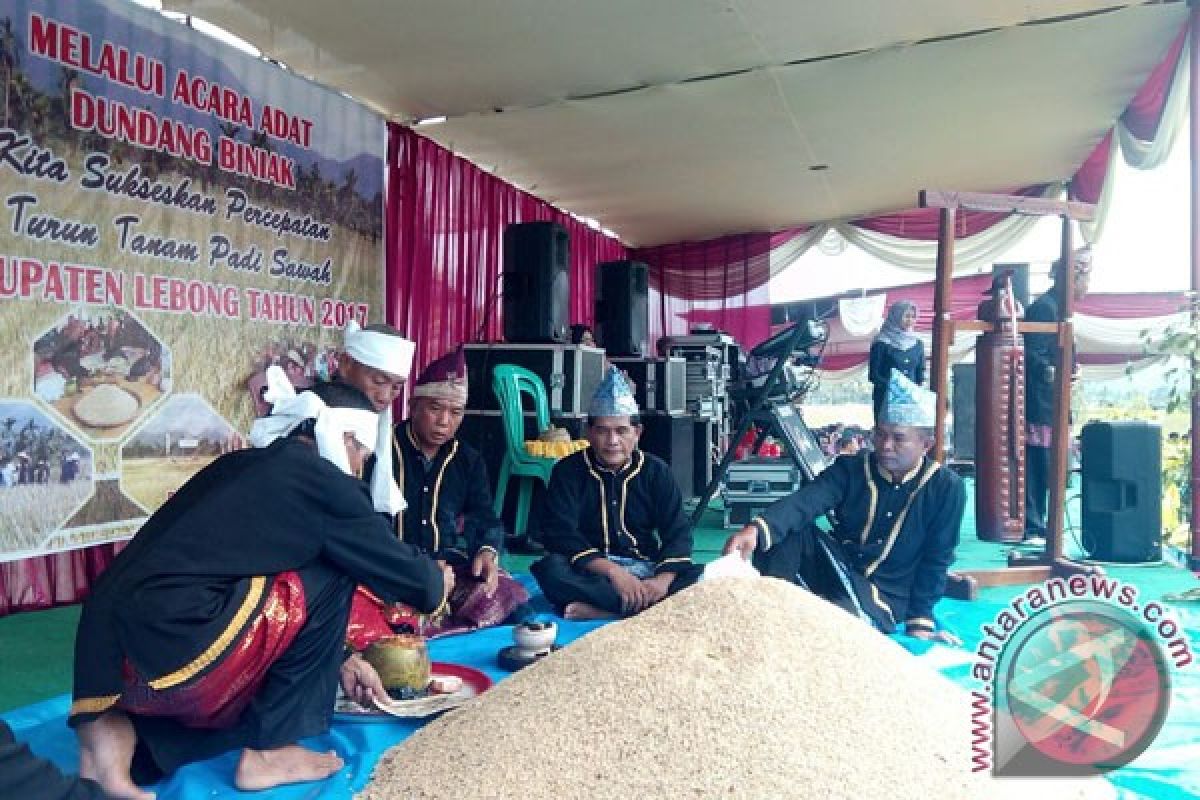 Lebong Menargetkan Penanaman Padi Sawah 5.364 Hektare