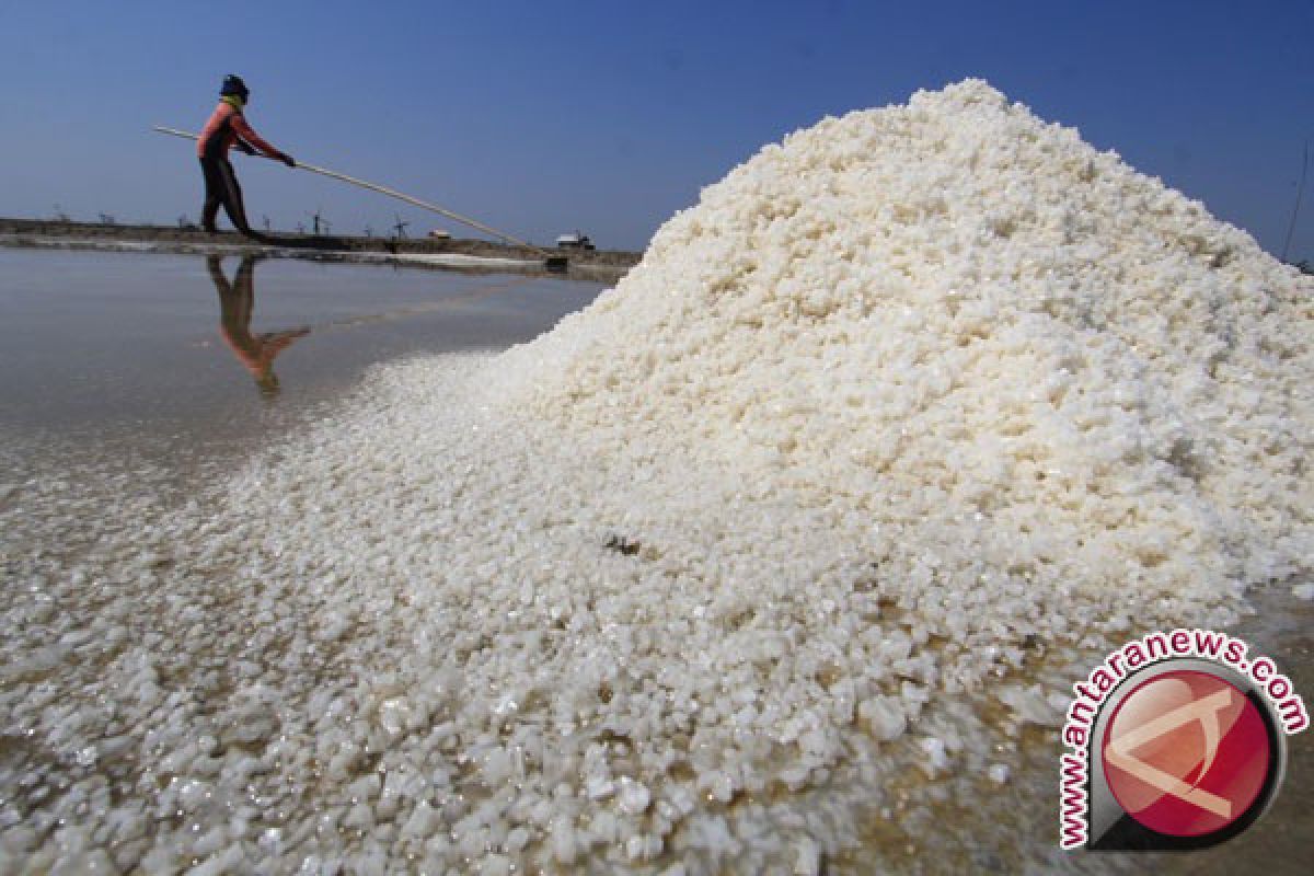 Pemerintah Didorong Tingkatkan Produksi Garam Berkualitas