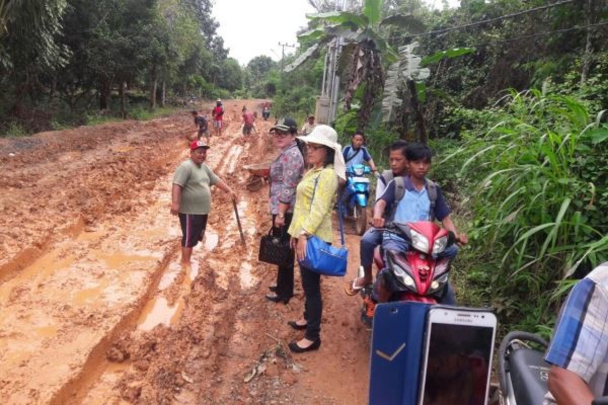 Perbaiki Jalan Hayaping Patung Ini Permintaan Legislator Bartim Ke