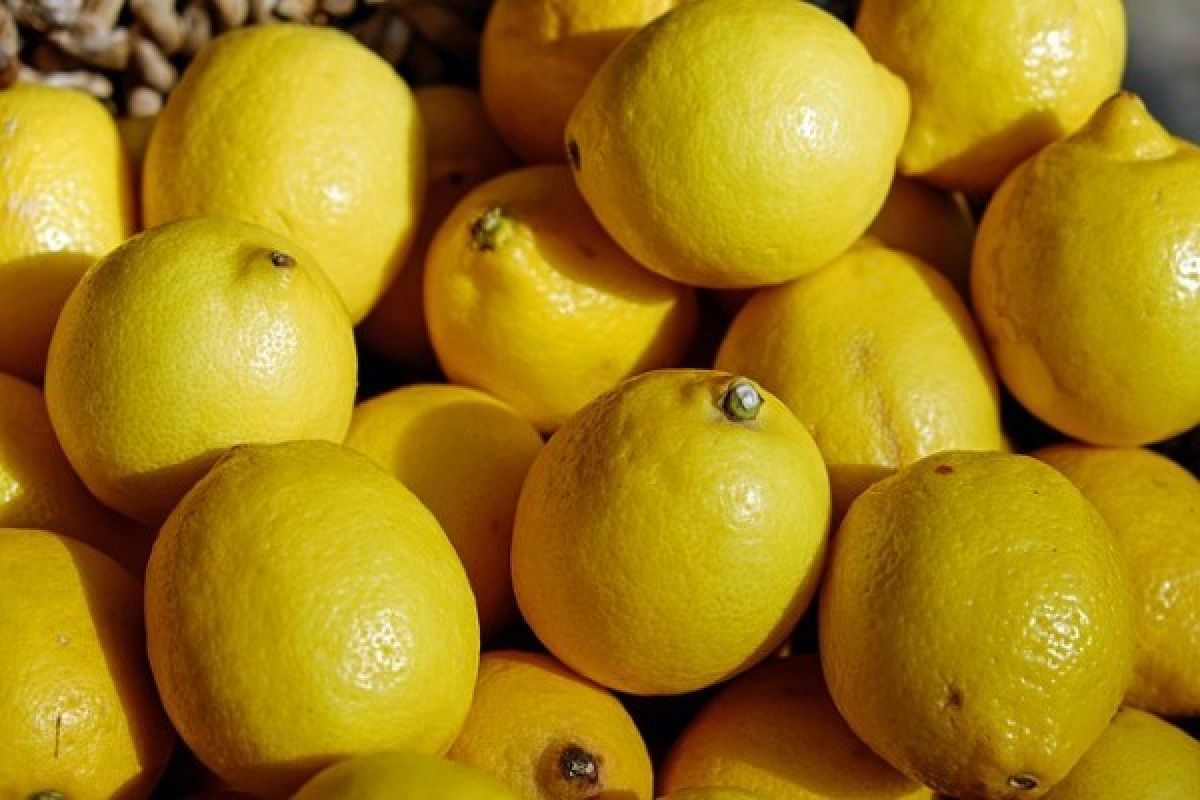 Enam Manfaat Minum Air Lemon setiap Pagi