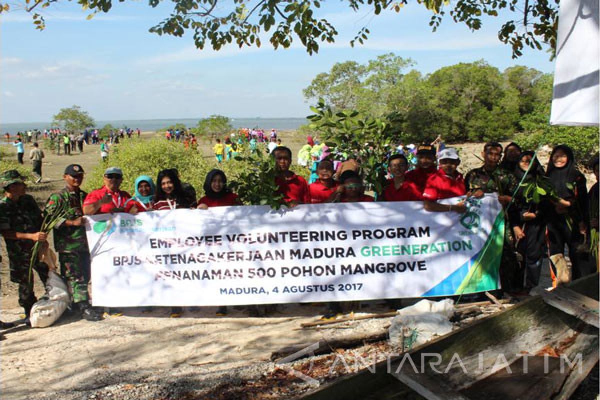 BPJS Ketenagakerjaan Tanam Pohon Mangrove Cegah Abrasi