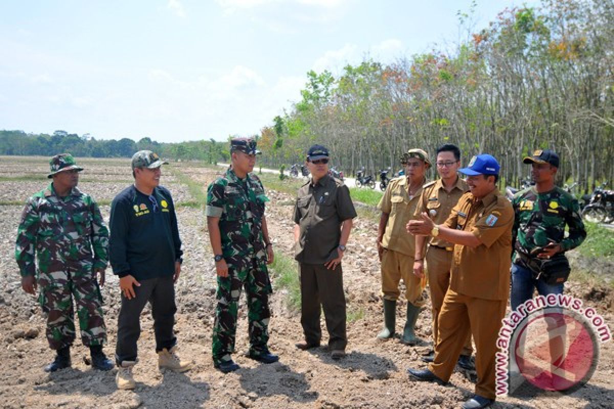 Waykanan Cetak Sawah Baru  2.250 Ha 