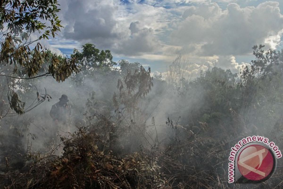 Riau minta bantuan BNPB  cegah karhutla meluas