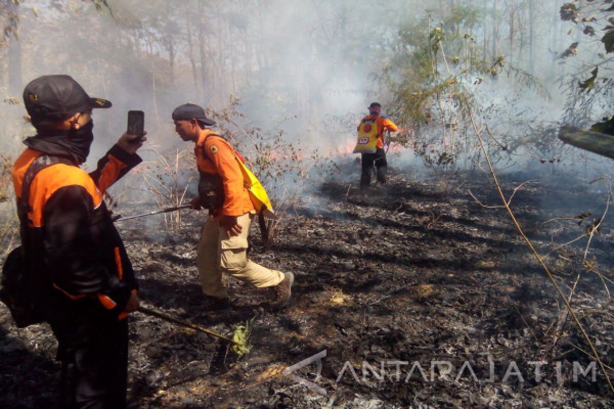 Hektaran Hutan di Taman Nasional Baluran Situbondo Terbakar