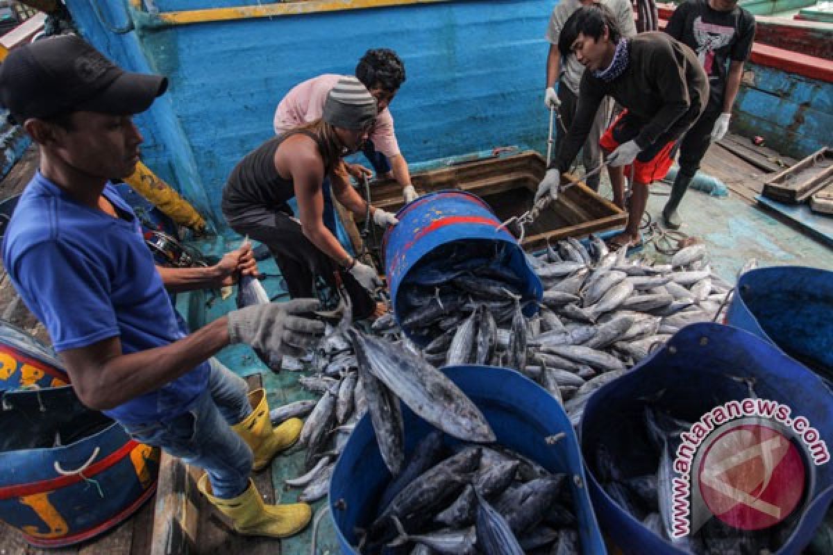 DIY akan datangkan ikan dari luar daerah