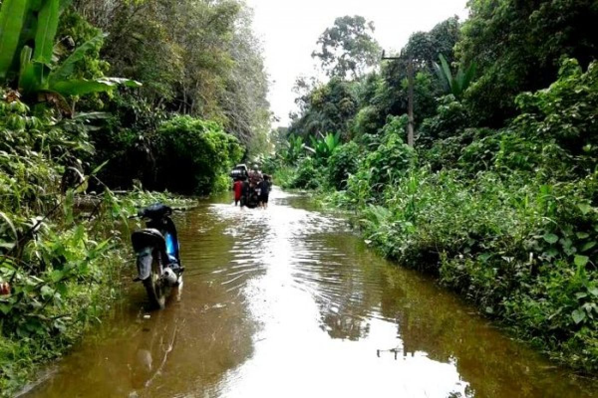 Duh! Desa di Gunung Timang Masih Terendam Banjir 