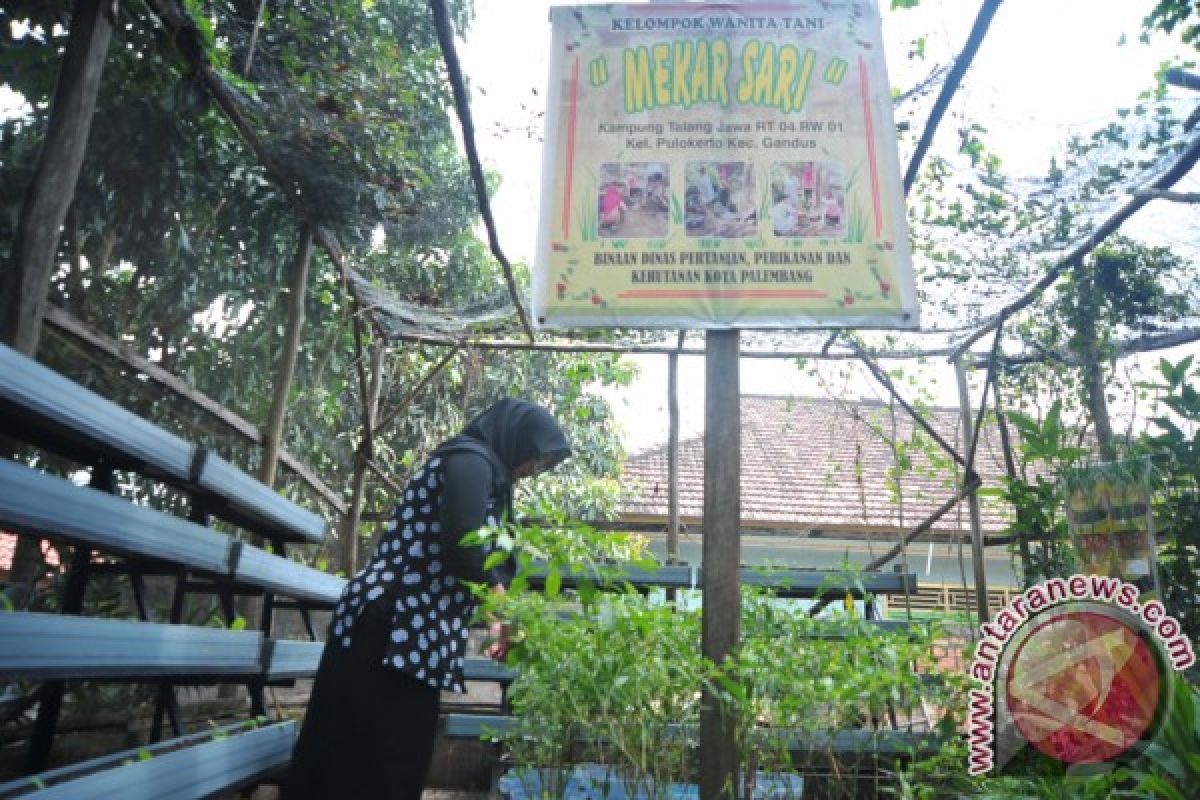 Membangun kampung ramah lingkungan