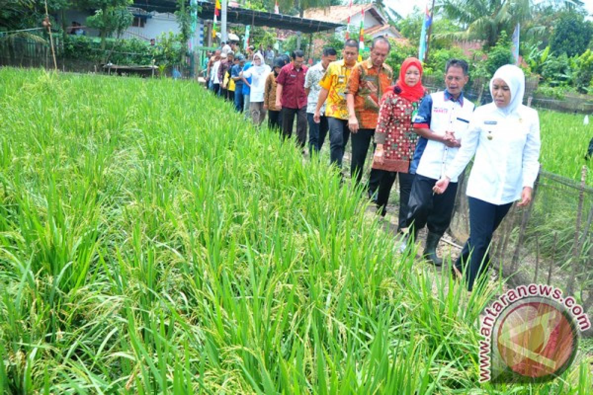 Pemkot Palembang pantau realisasi program "kotaku"