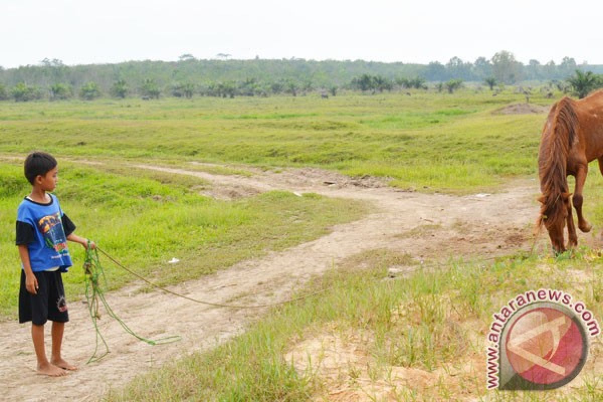 Desa Braja Harjosari Pilihan Agrowisata di Lampung