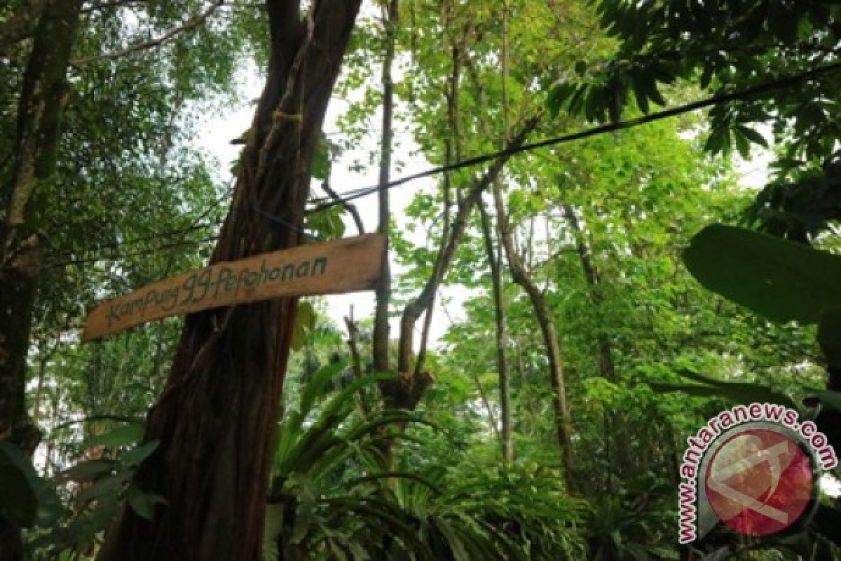 Kampung 99 Wisata Edukatif suasana Hutan Di Depok