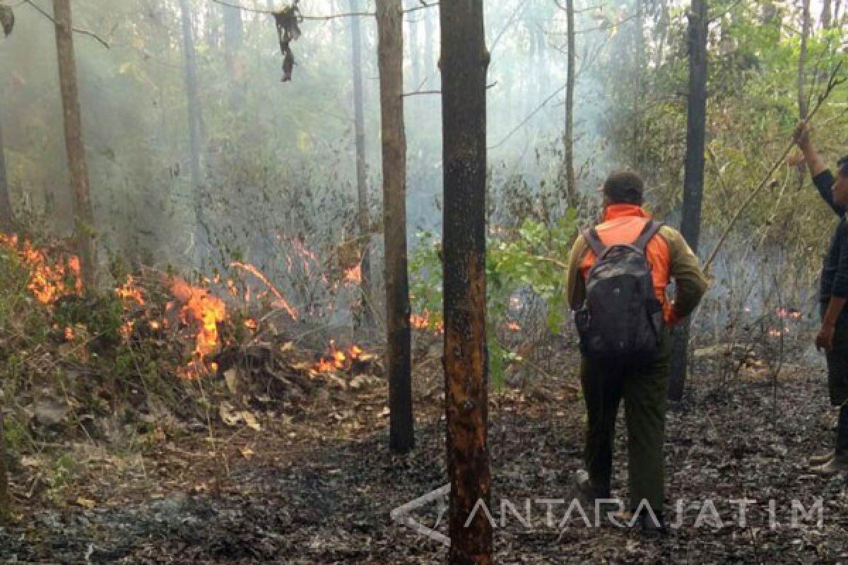 Tim BPBD Bojonegoro Padamkan Kebakaran Hutan Setren