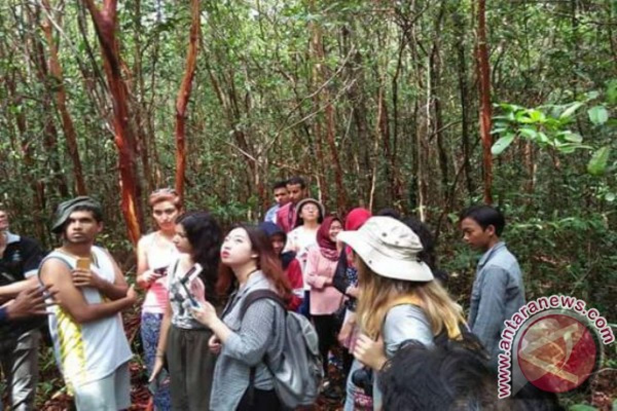 AIESEC Tertarik Teliti Hutan Pelawan di Kabupaten Bangka Tengah