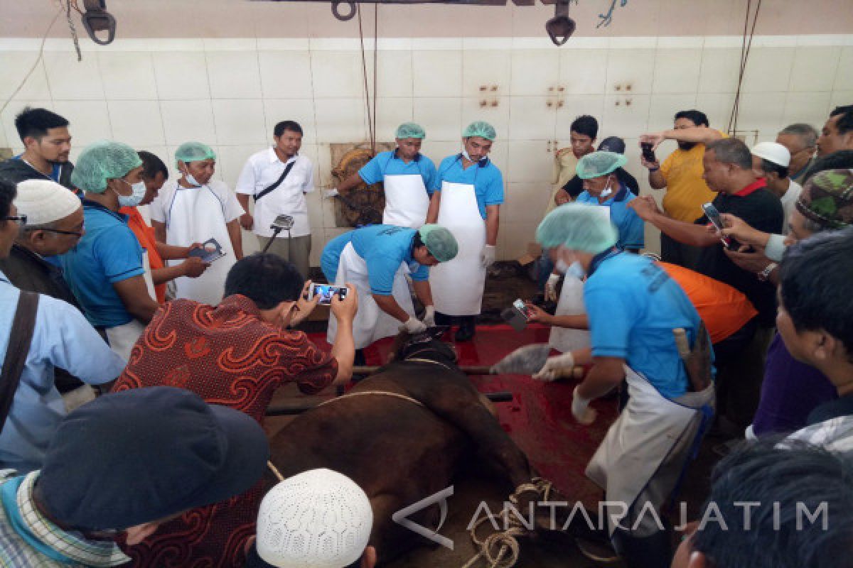 Hindari Sapi Stres, Takmir Masjid se-Surabaya Ikuti Praktik Penyembelihan Hewan Kurban