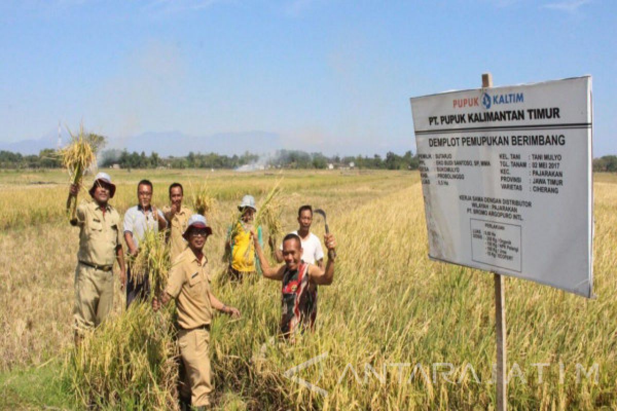 DKPP Probolinggo Tingkatkan Produksi Kerja Sama Pupuk Kaltim