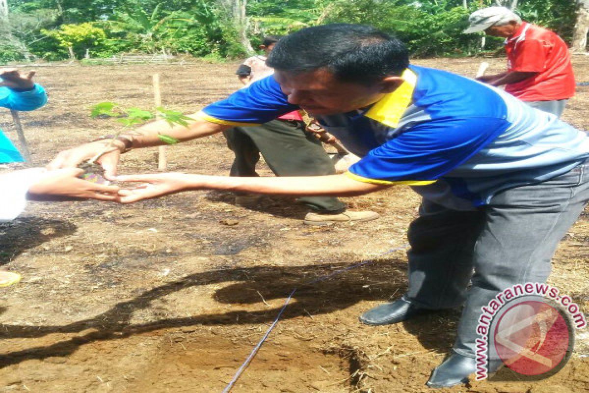 Mahasiswa Bantu Sejahterakan Warga Nagari Mandiri Pangan