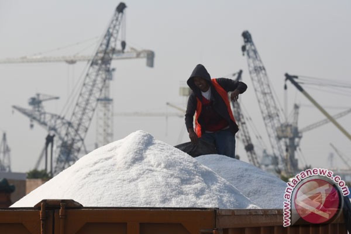 Yang lebih tahu impor garam Menteri Perindustrian, bukan KKP