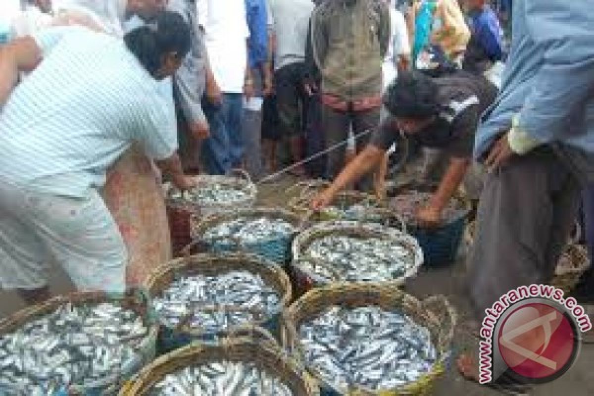 Harga Ikan Kering di Kendari Masih Tinggi 