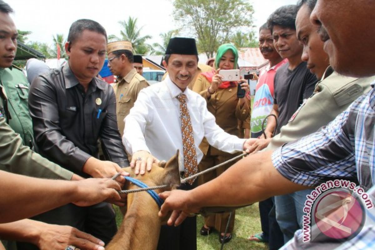 Pemkab Gorontalo Serahkan Bantuan 154 Ekor Sapi