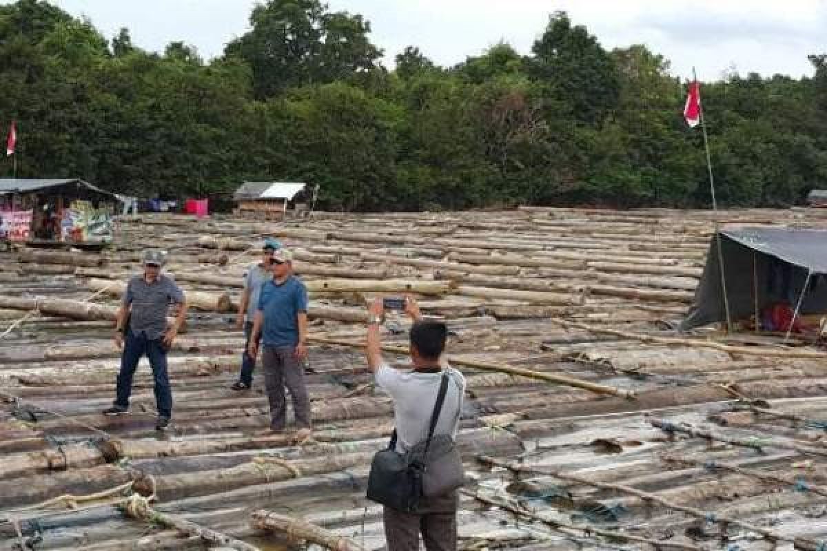 Polda Kalteng Amankan 7.500 Batang Kayu Log di DAS Barito