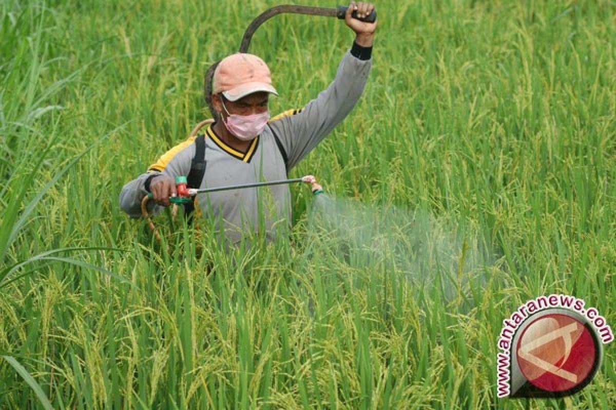 Pemkab Gorontalo Serahkan Bantuan Pada Sanggar Tani Alam