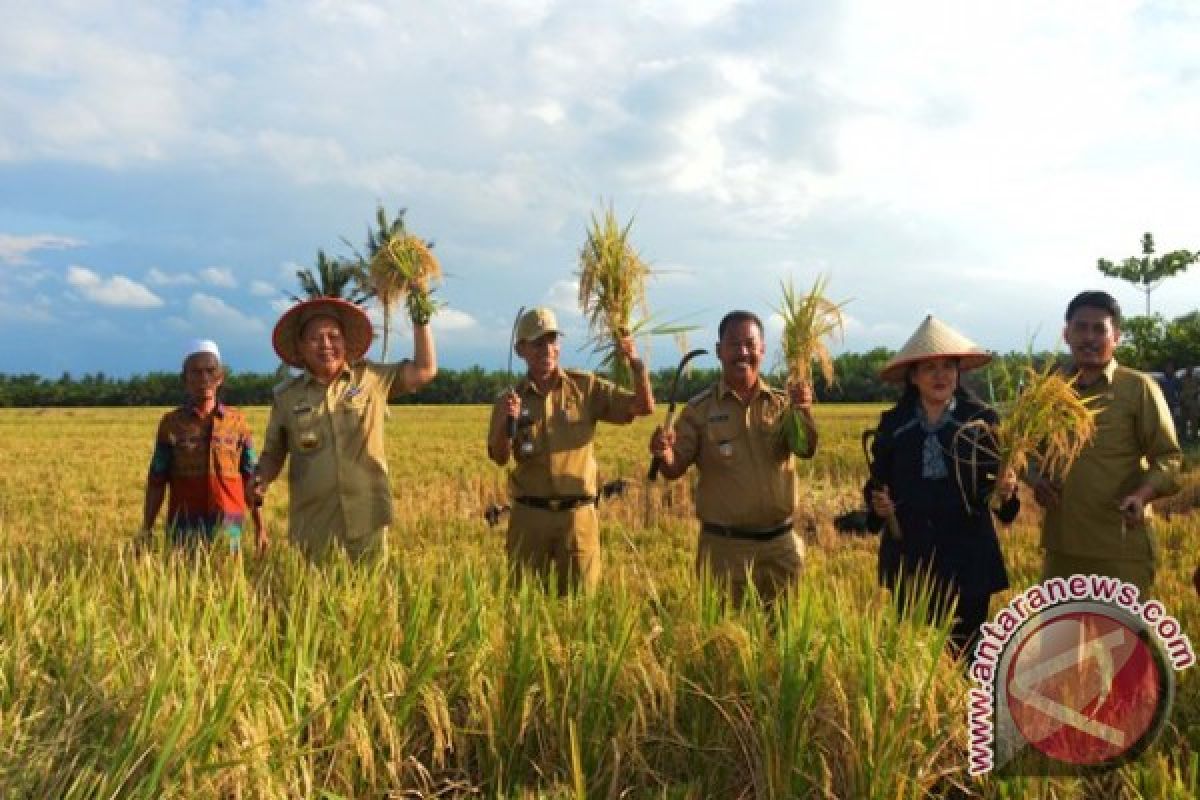 Bupati Hadiri Jamu Sawah