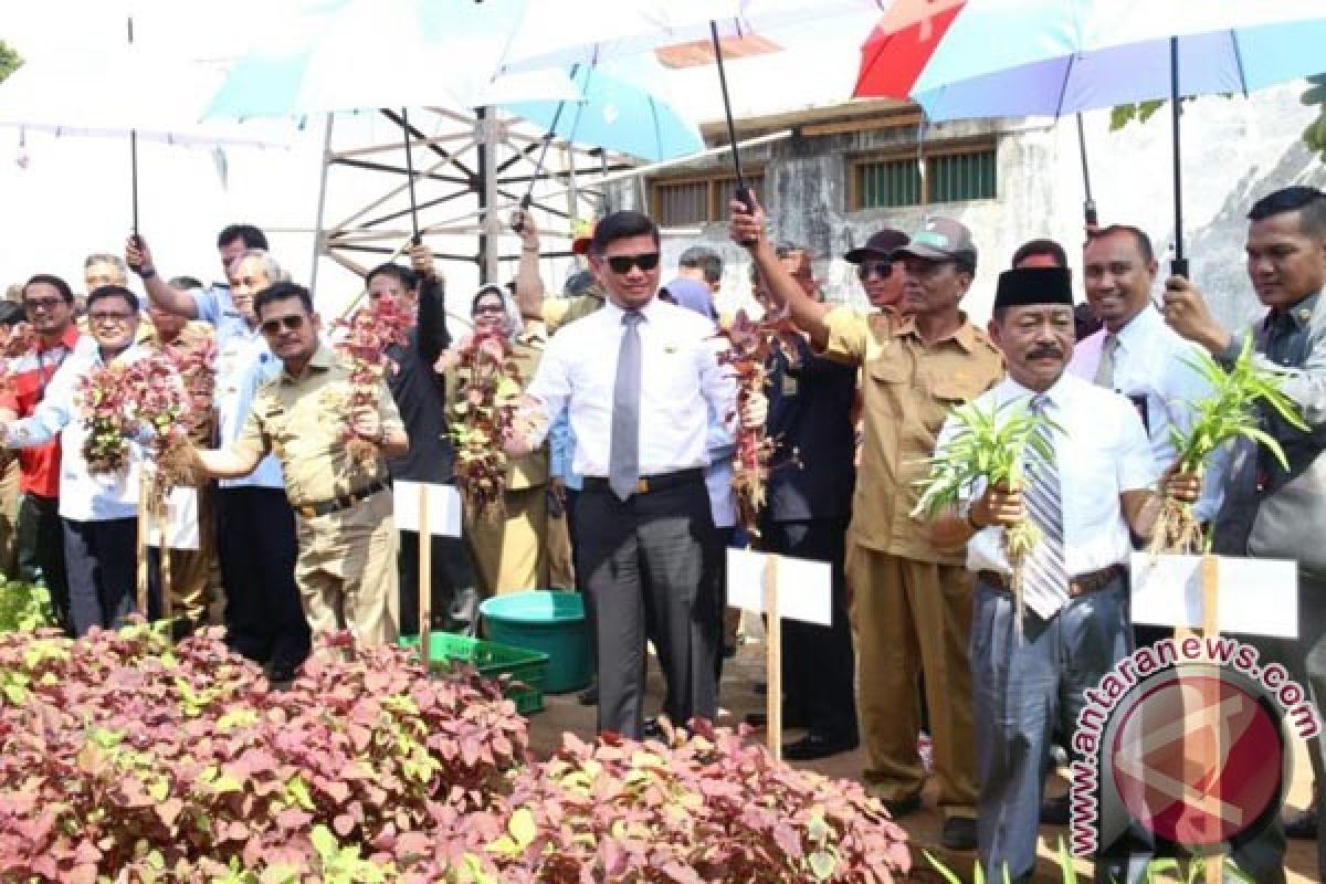 Gubernur - Bupati Panen Perdana Sayuran Lapas Bolangi 