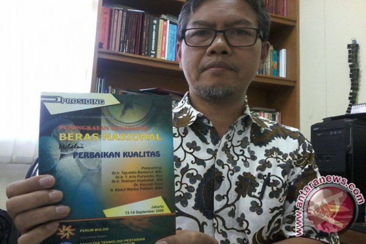 Kata Pakar IPB Soal Teknologi Pengolahan Beras Medium Menjadi Premium