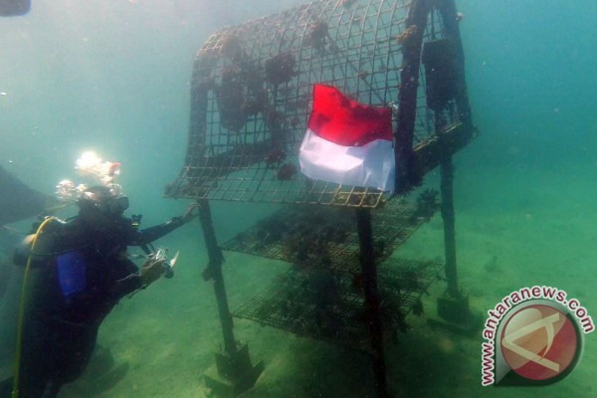 Enam Penyelam Kibarkan Bendera di Perairan Laut Sekotong 