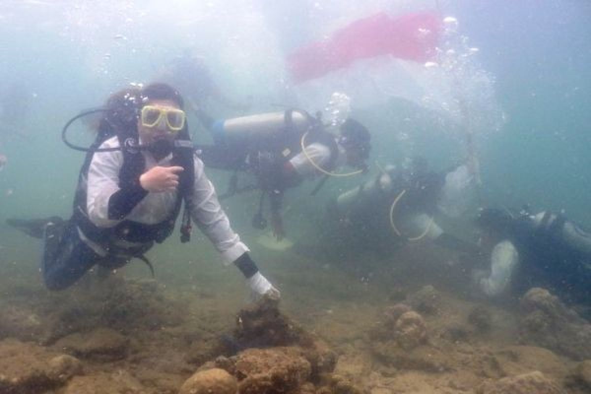 Puluhan Penyelam Kibarkan Merah Putih di Perairan Muara Badak