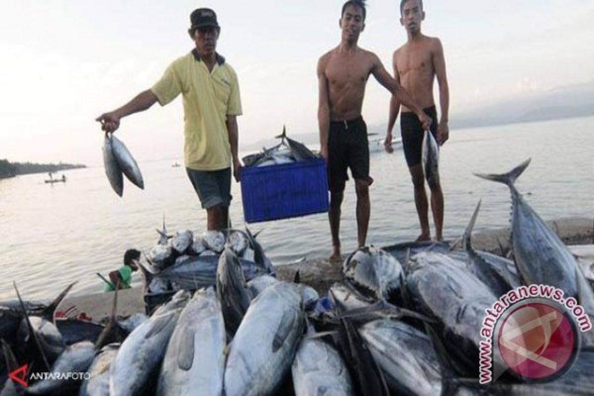 Nilai Ekspor Ikan Mencapai Rp163 Miliar