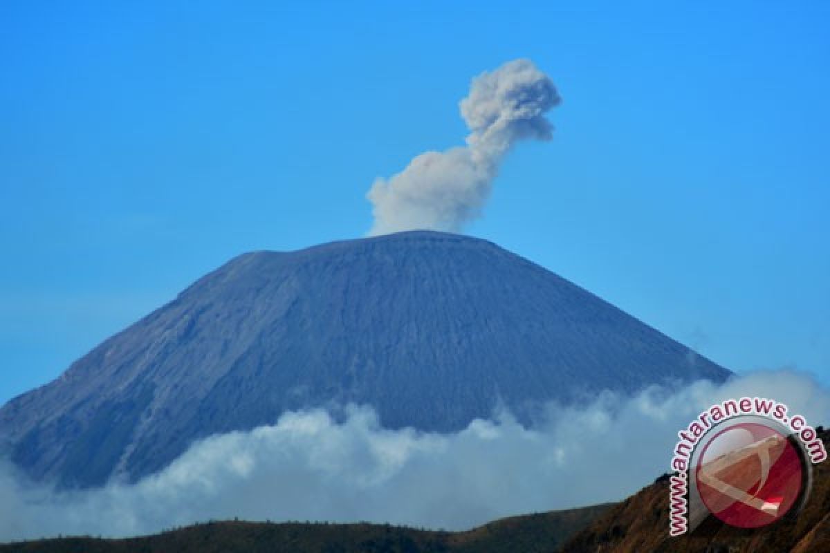 Basarnas Jember bantu evakuasi jenazah pendaki Semeru