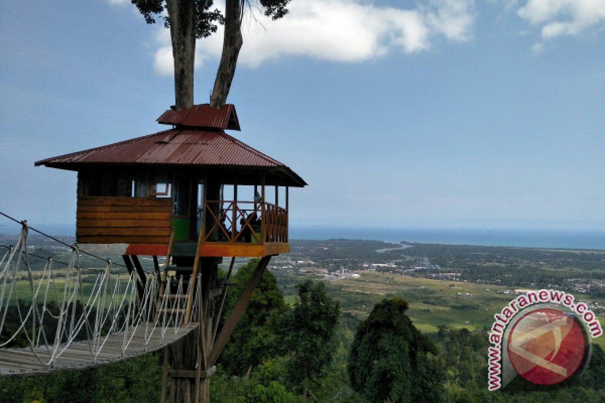 Ada Rumah Pohon di Pancuang Taba, Pesisir Selatan