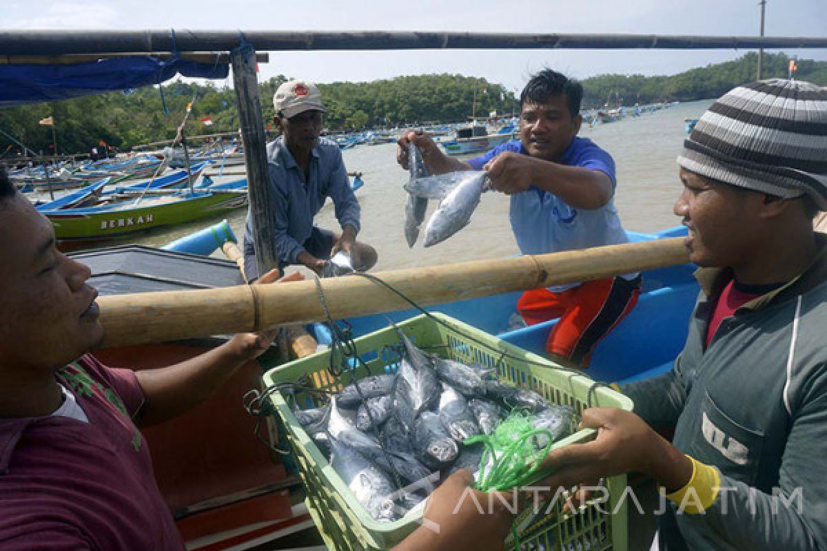 Tingkat Konsumsi Ikan Masyarakat Kota Madiun Baru 14,7 Persen