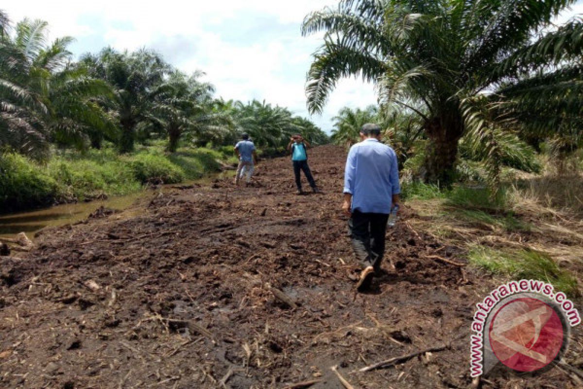 KUD Tiku Lima Jorong Agam Biayai Pembukaan Jalan Baru Sepanjang 7KM