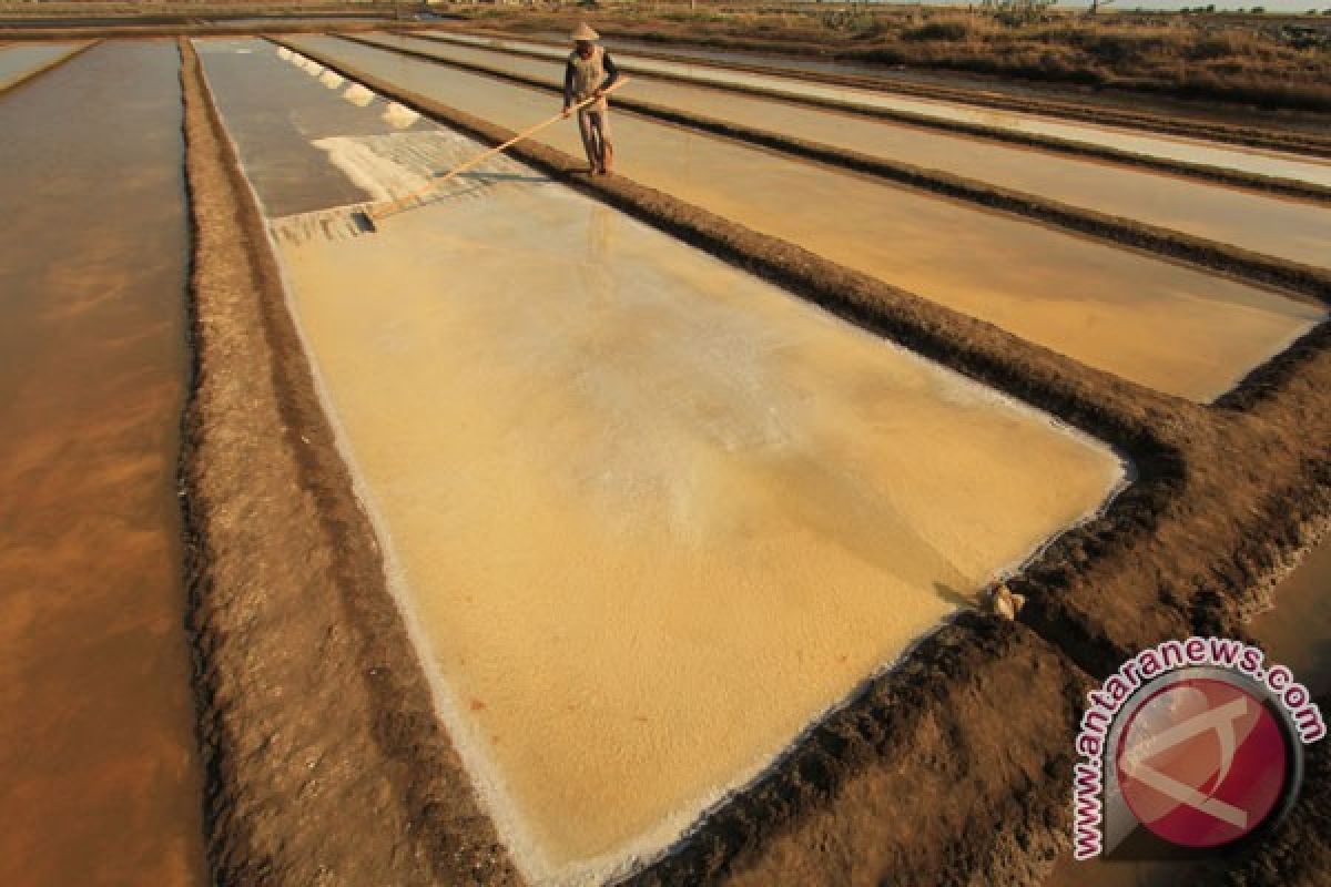 Garam di Bipolo ditargetkan untuk penuhi garam industri