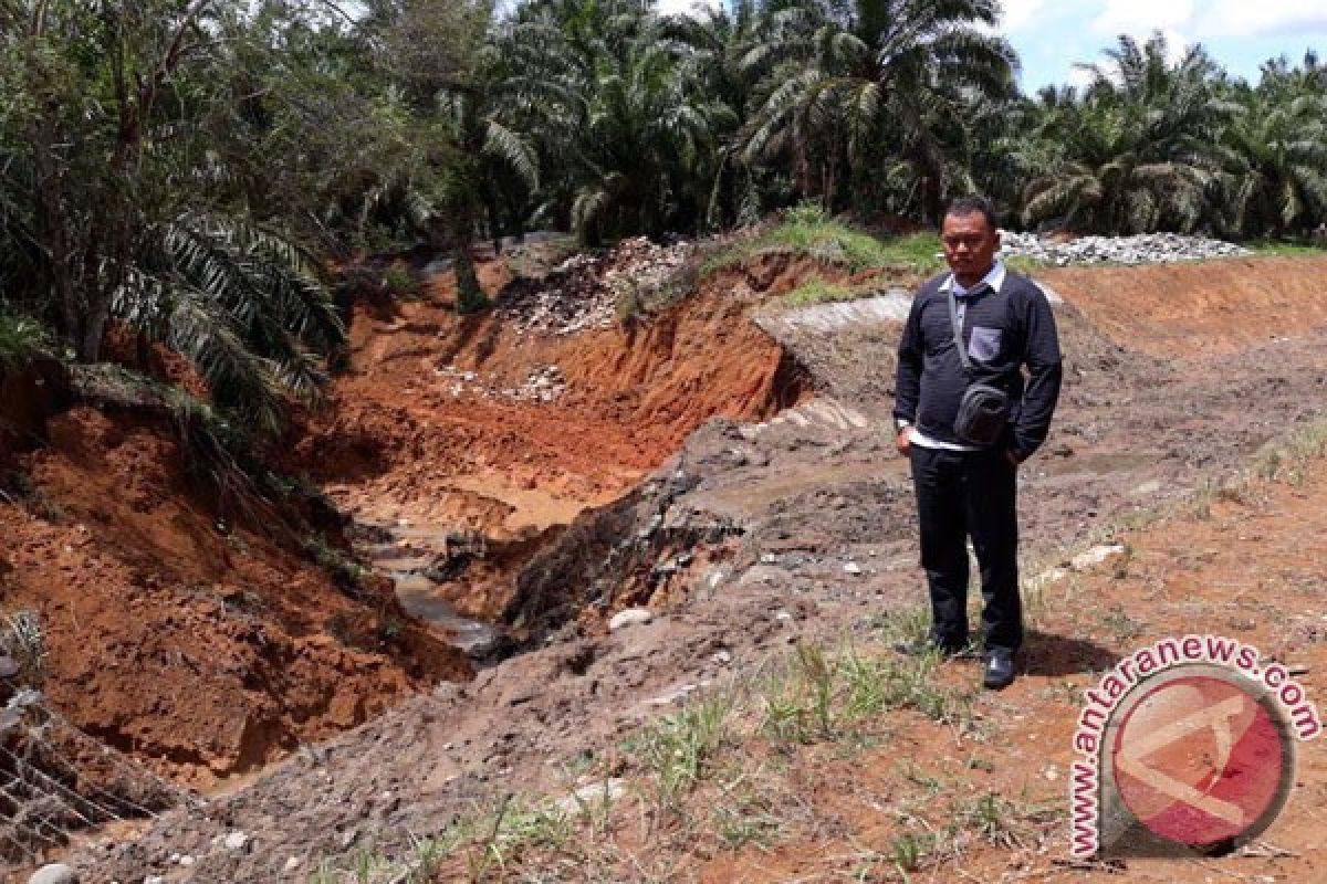 Irigasi Yang Jebol Mengancam Puluhan Hektare Sawah Di Mukomuko