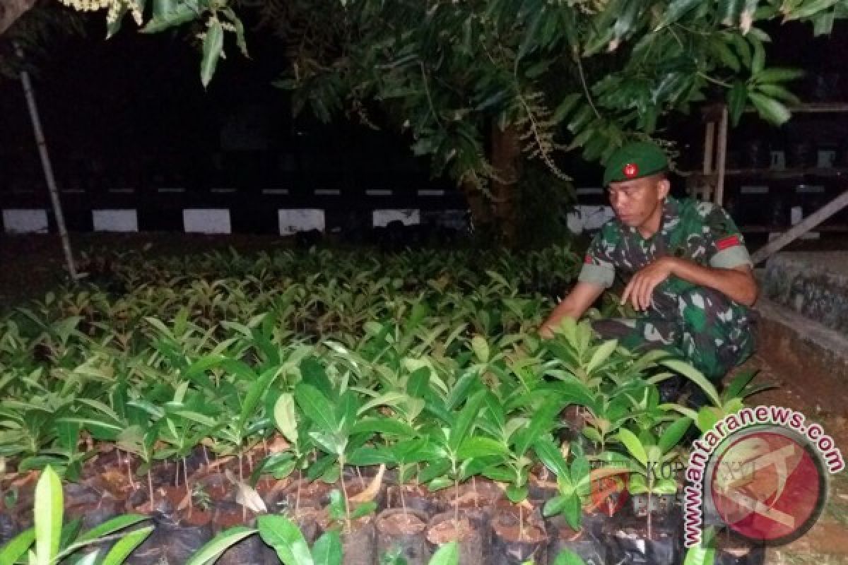 Kodim Saumlaki Budi Daya Pohon Torem