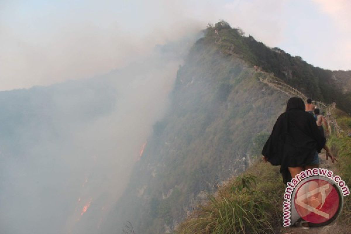 Kebakaran Tebing di Nusa Penida, Wisatawan Berhasil Dievakuasi