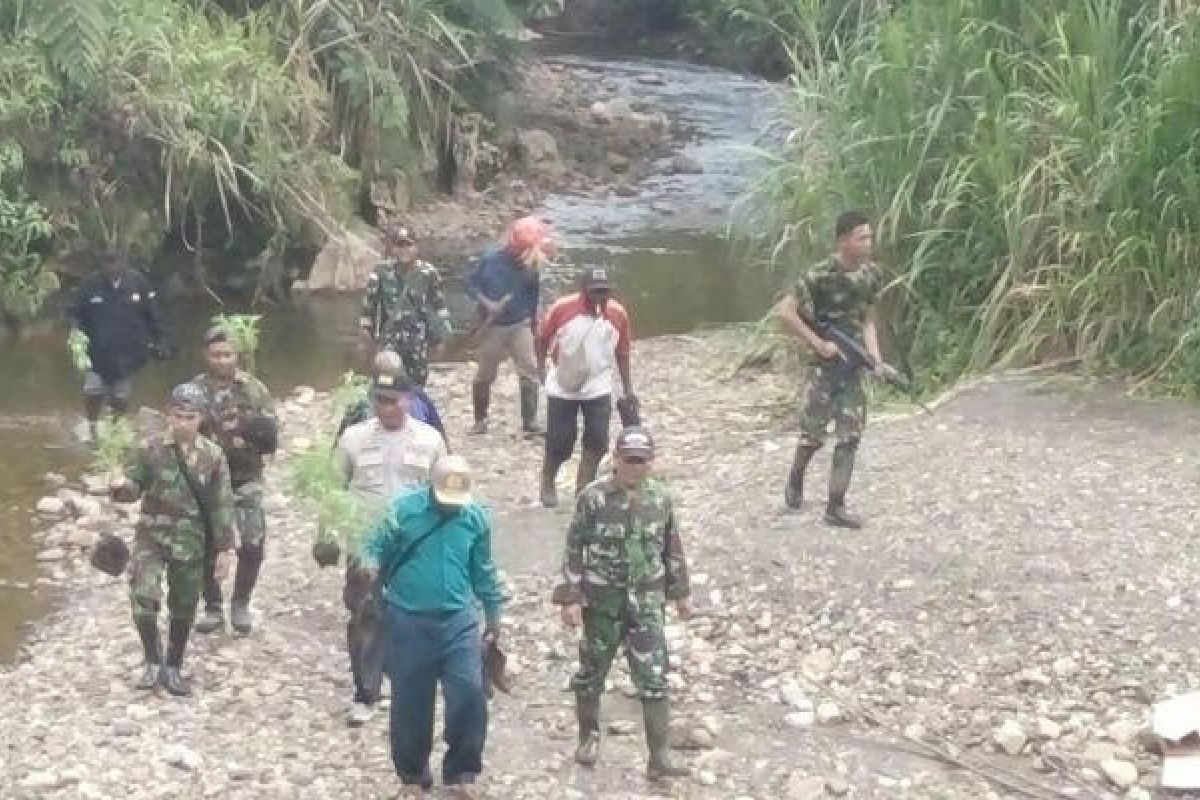 TNI-Polri bersama warga musnahkan ladang ganja di hutan Ebsibding