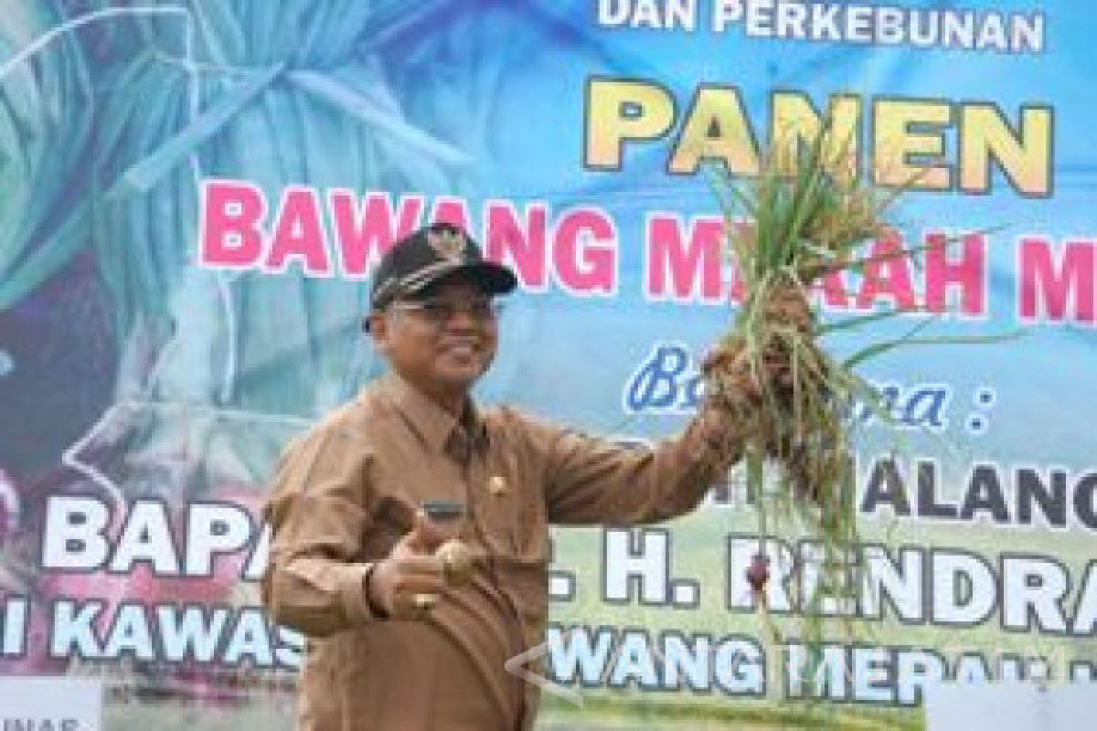 Bupati Malang Minta Petani Bawang tak Mudah Putus Asa