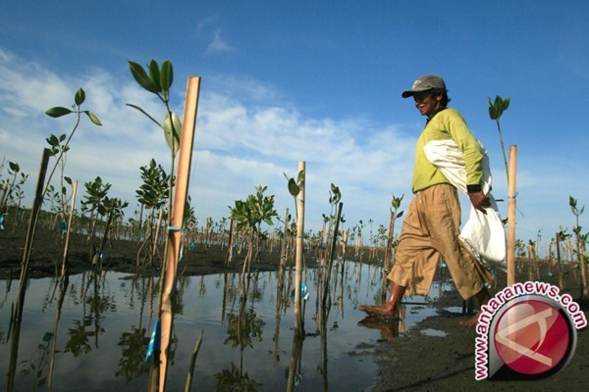 TNI buat wisata mangrove di Mukomuko