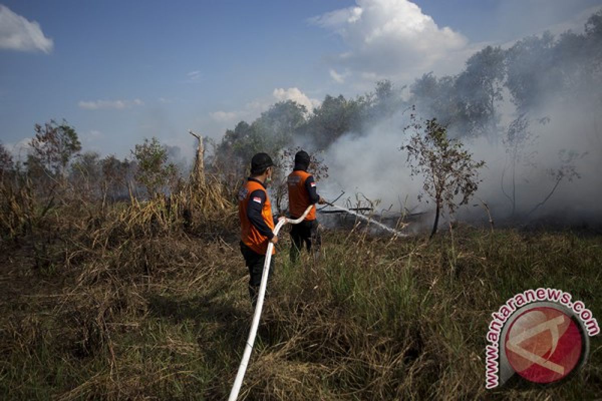 Polda Jambi tangani tujuh kasus Karhutla