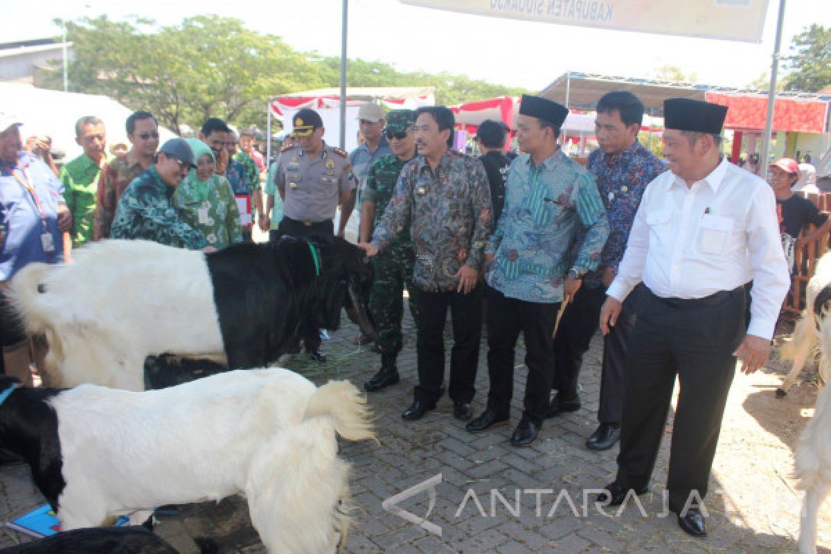 Sidoarjo Waspadai Penyakit Antrak pada Hewan Korban