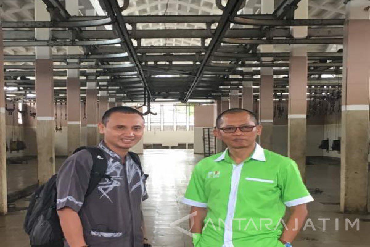 Jelang Idul Adha, 55 Sapi Kurban RPH Surabaya Terjual 