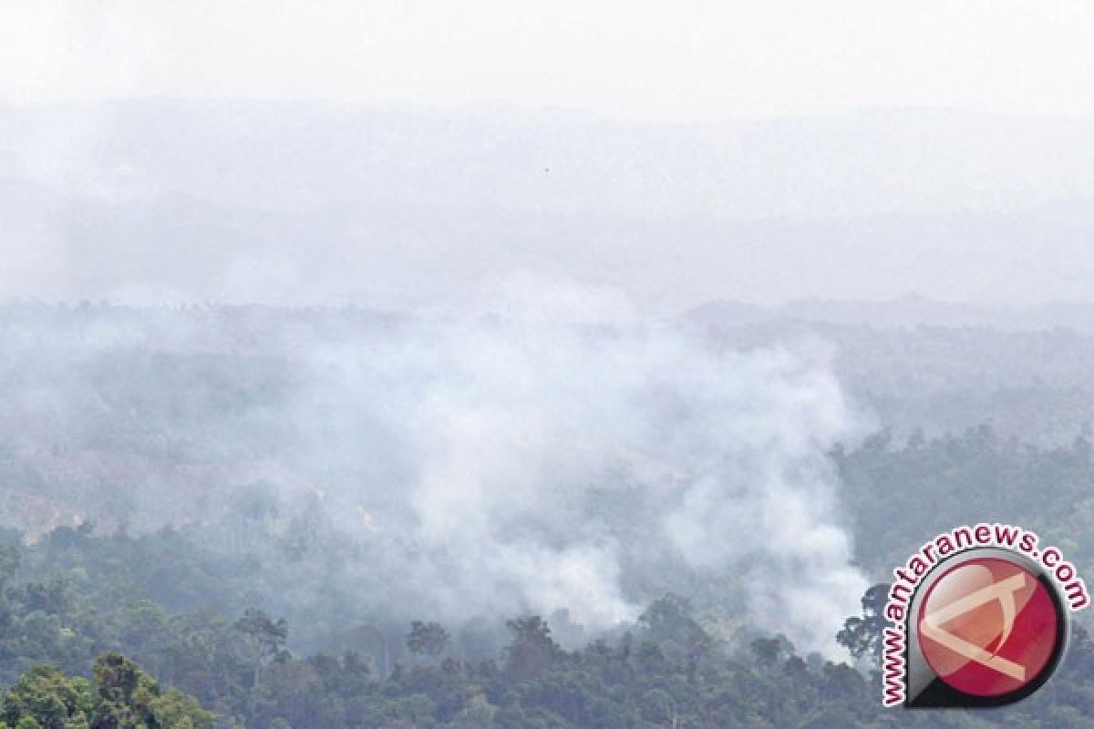 BMKG: 17 Titik Panas Muncul di Aceh