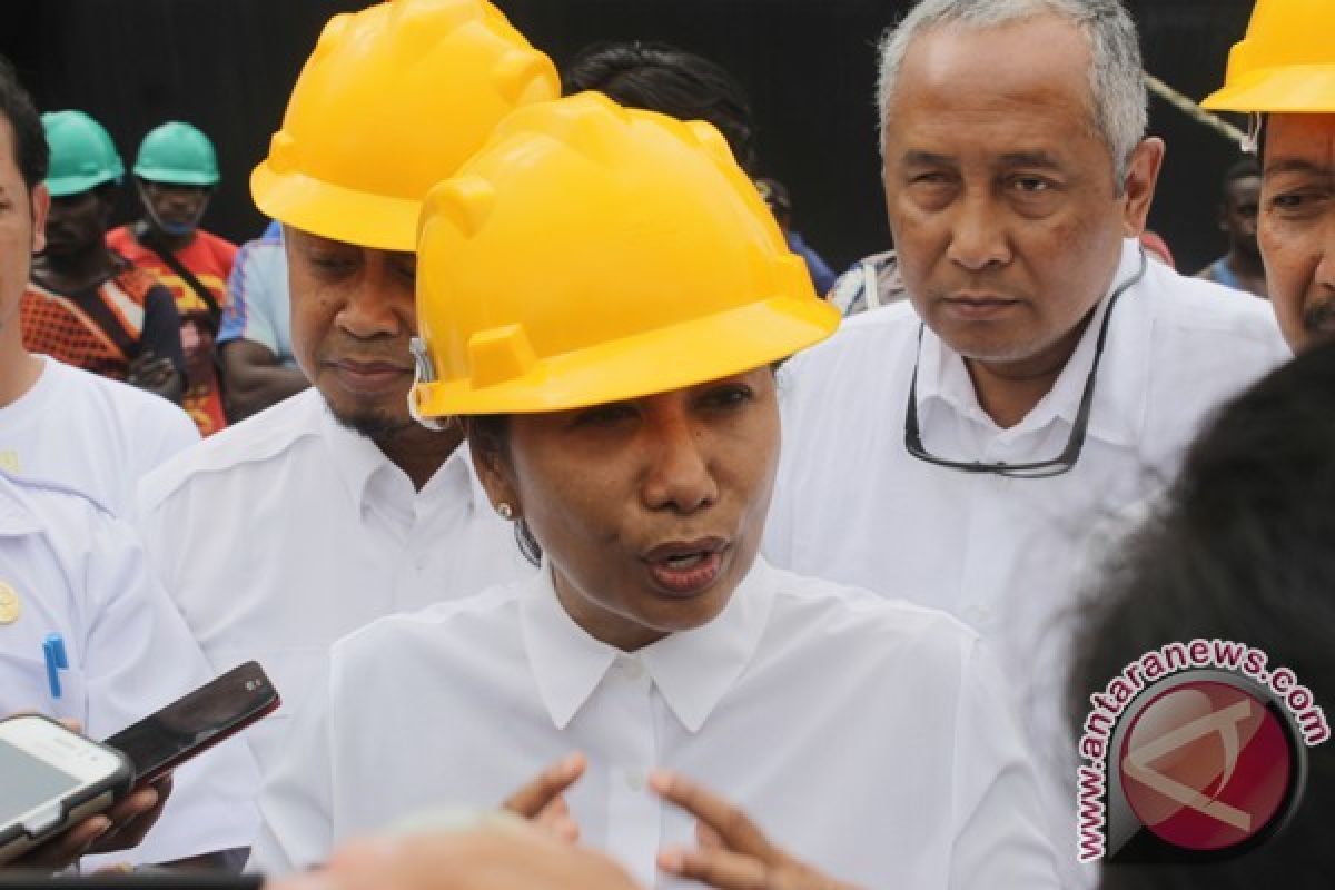 Menteri BUMN janji pangkas disparitas harga semen di Papua