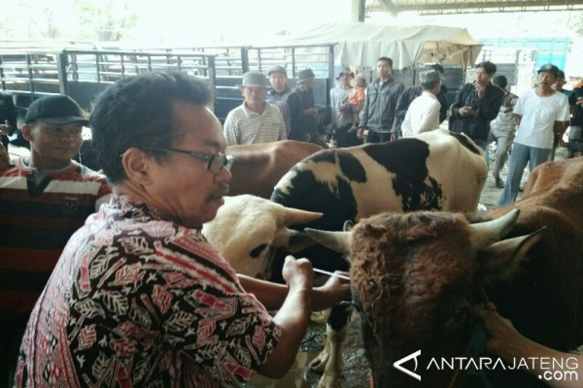 Hewan Kurban di Kudus Diberi Label Sehat