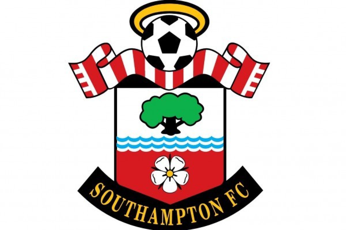 Southampton dibabat Fulham