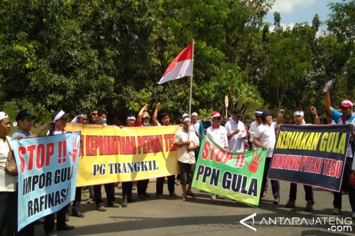 Petani Tebu Pati Tuntut Penghapusan PPN